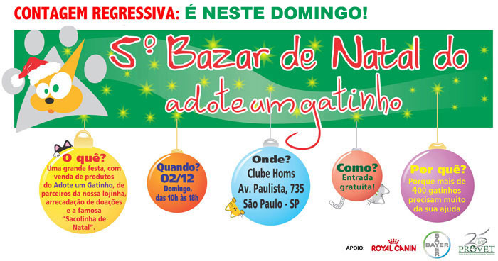 Adote Um Gatinho - Dia 6 de dezembro, domingo, das 10 às 18h no